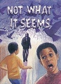Cover: Not What it Seems - Lands End Publishing Ltd.