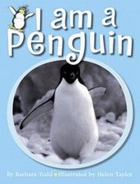 Enlarge image Cover: I am a Penguin - New Holland Publishers (NZ) Ltd