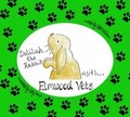 Cover: Delilah the Rabbit Visits Elmwood Vets - Tony Williams Publications