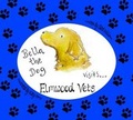 Cover: Bella the Dog Visits Elmwood Vets - Tony Williams Publications