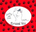 Cover: Lucky the Cat Visits Elmwood Vets - Tony Williams Publications