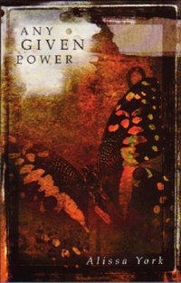 Enlarge image Cover: Any Given Power - Arp Books