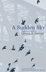 Cover: A Sudden Sky - Brick Books