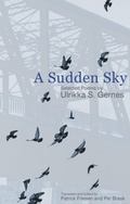 Cover: A Sudden Sky - Brick Books