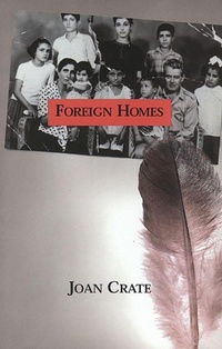 Enlarge image Cover: Foreign Homes - Brick Books