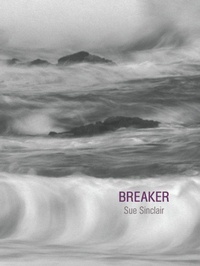 Enlarge image Cover: Breaker - Brick Books