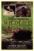 Cover: Algonquin Wildlife - Natural Heritage Books