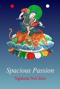 Cover: Spacious Passion - Aro Books Worldwide