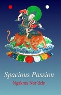 Cover: Spacious Passion - Aro Books Worldwide