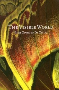 Enlarge image Cover: The Visible World - Mansfield Press