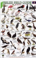 Cover: Birds - Rainforest Publications