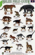 Cover: Mammals/tracks - Rainforest Publications