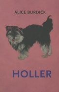 Cover: Holler - Mansfield Press