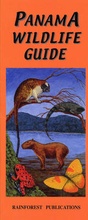 Cover: Panama Wildlife Guide: Mammals, Reptiles, Amphibians, Insects - Rainforest Publications