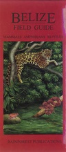 Cover: Mammals, Amphibians and Reptiles - Rainforest Publications