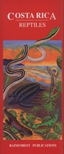 Cover: Costa Rica: Reptiles - Rainforest Publications