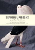 Cover: Beautiful Pigeons Journal - Ivy Press