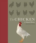 Cover: The Chicken - Ivy Press