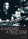 Cover: A Wizard, A True Star - Jawbone