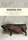 Cover: Beautiful Pigs Journal - Ivy Press