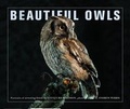 Cover: Beautiful Owls - Ivy Press