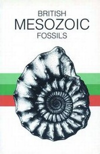 Abbildung von: British Mesozoic Fossils - Intercept Ltd