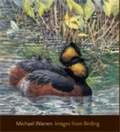 Cover: Images from Birding - Langford Press