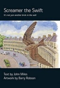 Enlarge image Cover: Screamer the Swift - Langford Press