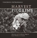 Cover: Harvest Pilgrims - Between the Lines
