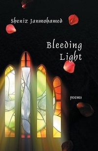 Enlarge image Cover: Bleeding Light - Tsar Publications