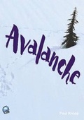 Cover: Avalanche - Robinswood Press Ltd
