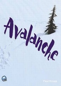 Enlarge image Cover: Avalanche - Robinswood Press Ltd