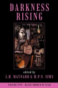Cover: Darkness Rising 5 - Prime Books