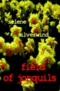 Cover: Field of Jonquils - Spilled Candy Publication
