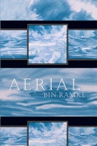 Enlarge image Cover: Aerial - Omnidawn Publishing