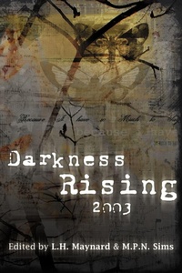 Enlarge image Cover: Darkness Rising 2003 - Prime Books