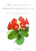 Cover: Illustrated Rhododendron, The - Kew Publishing
