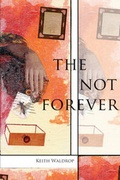 Cover: The Not Forever - Omnidawn Publishing