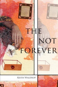 Enlarge image Cover: The Not Forever - Omnidawn Publishing