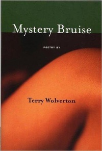 Enlarge image Cover: MYSTERY BRUISE - Red Hen Press