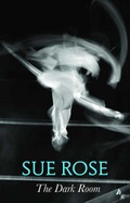 Cover: The Dark Room - bluechrome Publishing