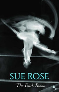 Enlarge image Cover: The Dark Room - bluechrome Publishing