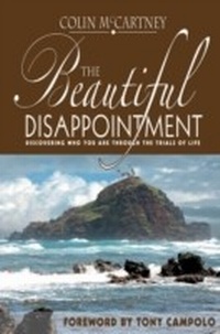 Enlarge image Cover: The Beautiful Disappointment - Castle Quay Books