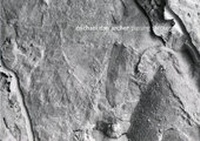 Enlarge image Cover: Michael Dan Archer - University of Hertfordshire Press