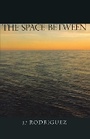 Cover: The Space Between - Napoleon Publishing