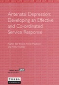 Cover: Antenatal Depression - Department of Social Work and Community Health