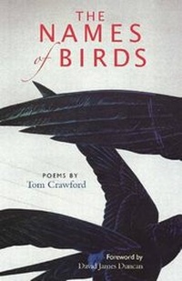 Enlarge image Cover: The Names of Birds - Sherman Asher Publishing