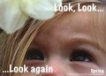 Cover: Look, Look...... Look Again Spring - Mindstretchers