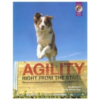 Enlarge image Cover: Agility Right from the Start - Sunshine Books (MA)
