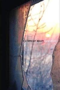 Enlarge image Cover: A Difficult Beauty - Wolsak and Wynn
